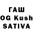 Галлюциногенные грибы MAGIC MUSHROOMS Takeda Impact