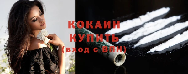 молекула духа Алексеевка